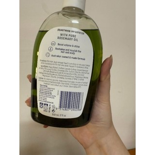 Dầu gội cây trà tea tree Redwin (mẫu mới)