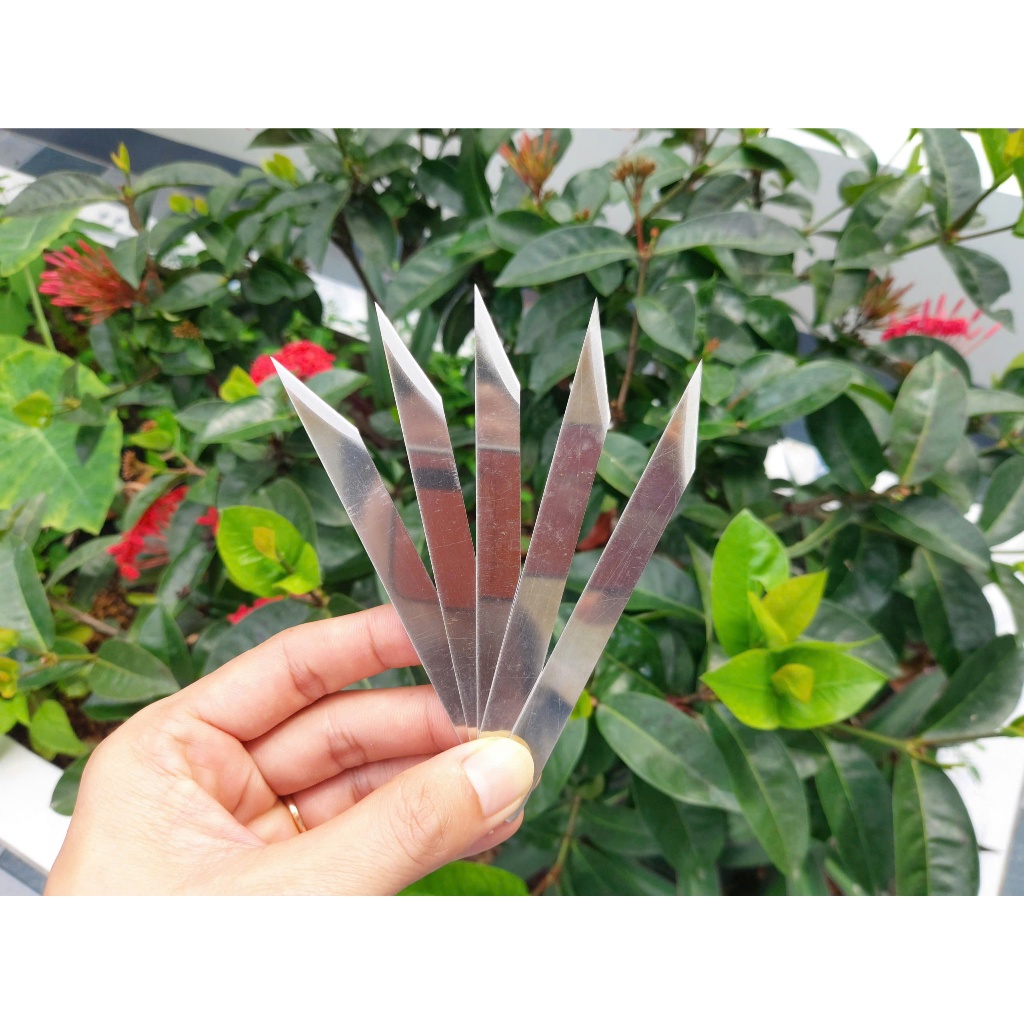 Dao Xẽ Tôm - Sét 5 Cây. Chất Liệu Inox 304 Cao Cấp Không Rỉ Sét. 5 Cây Dao Xẽ LưngTôm + Rút Tim Tôm