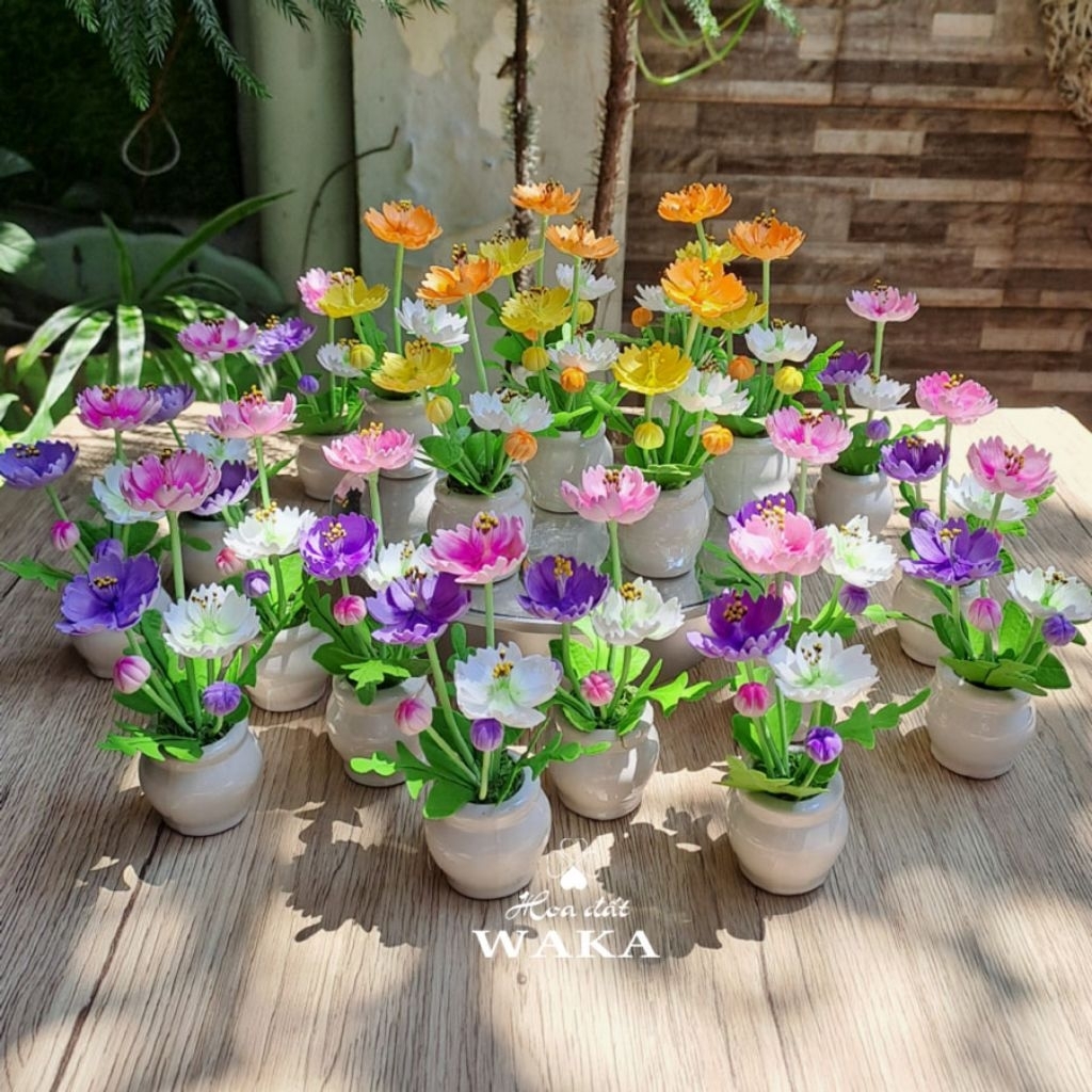 Hoa Đất Sét Mini- Chậu Sao Nhái Mini 12cm