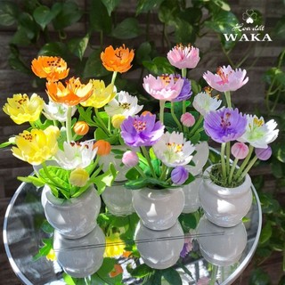 Hoa Đất Sét Mini- Chậu Sao Nhái Mini 12cm