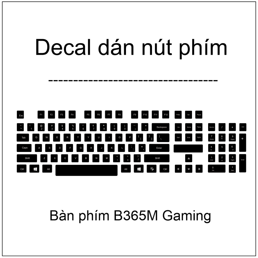 Decal dán nút phím , skin trang trí nút phím Bàn phím B365M Gaming