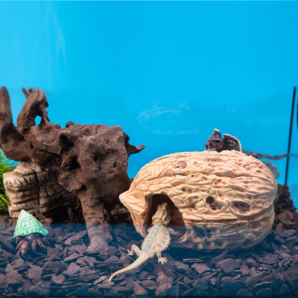 1PC natural style walnut hiding place - reptile habitat decoration leopard gecko, spider, lizard hid