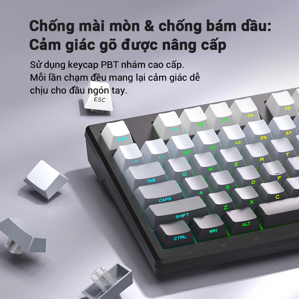 Bàn Phím Có Dây FURYCUBE IP75, 75% Layout, PBT Bền Đẹp, RGB Nhẹ Nhàng, Win&macOS, Núm Xoay Tiện Lợi | BigBuy360 - bigbuy360.vn