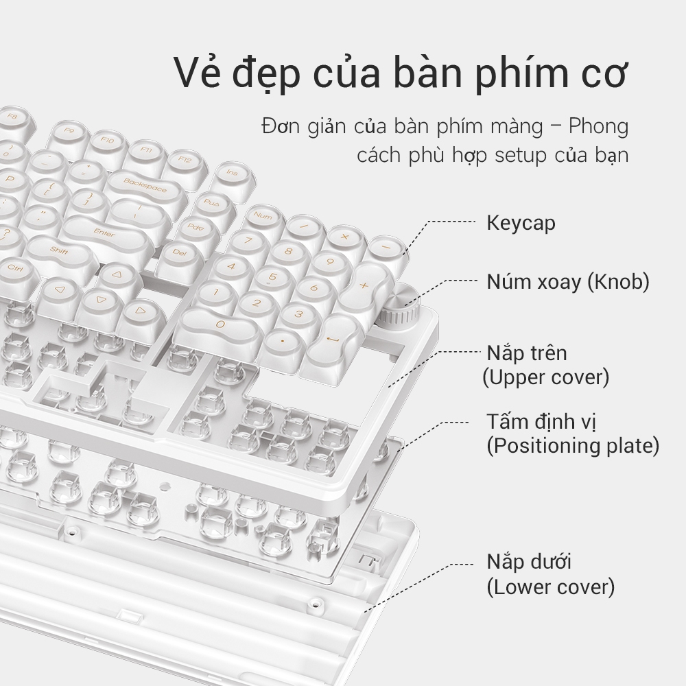Bàn Phím Có Dây FURYCUBE IP98, 98 Phím, LED RGB, Keycap Bán Trong Suốt, Phù Hợp Văn Phòng & Học Tập | BigBuy360 - bigbuy360.vn