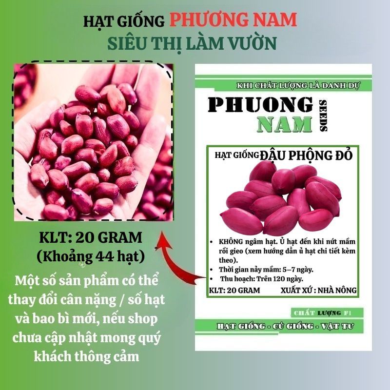 20 Gram - Hạt Giống Đậu Phộng (Lạc) Phương Nam