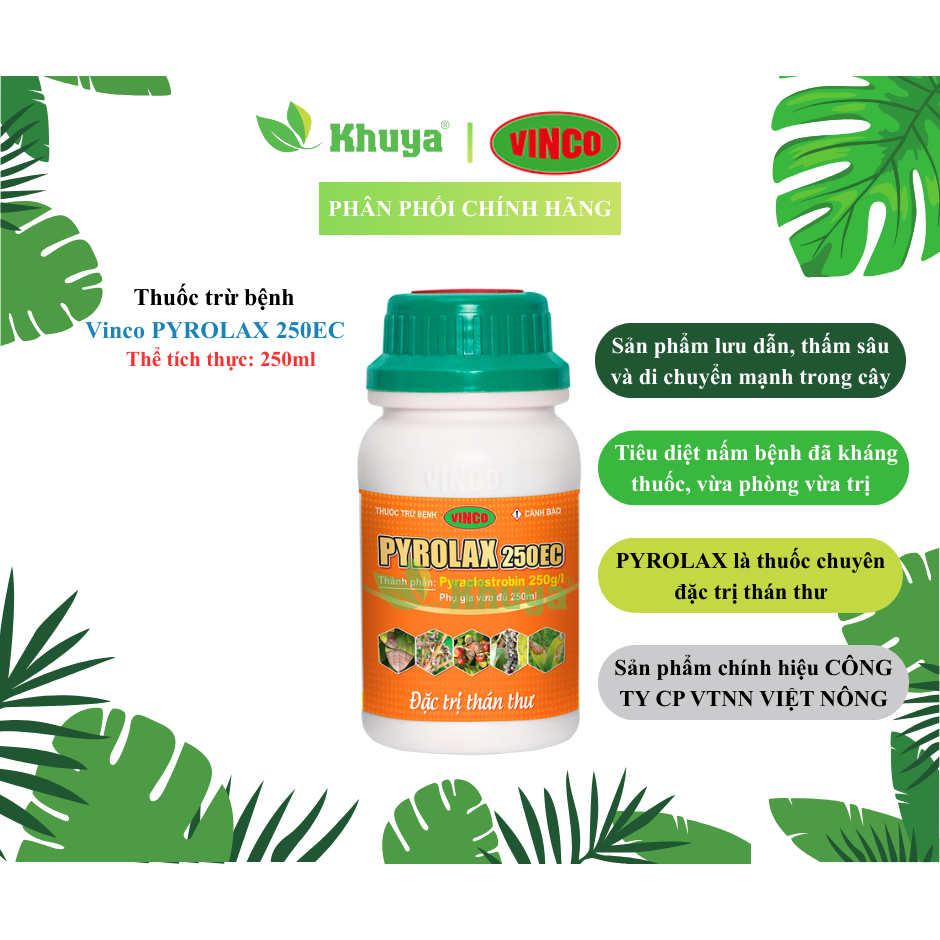 Thuốc trừ bệnh Vinco PYROLAX 250EC 250ml Đặc Trị Thán Thư