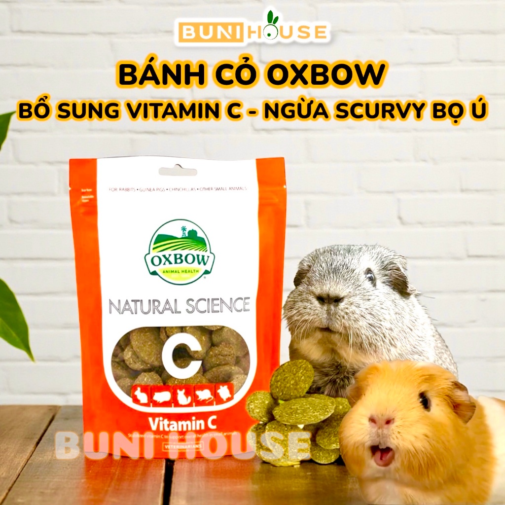 Bánh Cỏ Oxbow Bổ Sung Vitamin C Cho Bọ Ú Chuột Lang Thỏ Hamster Chinchilla Rùa Ngừa Bệnh Scurvy Bọ ú