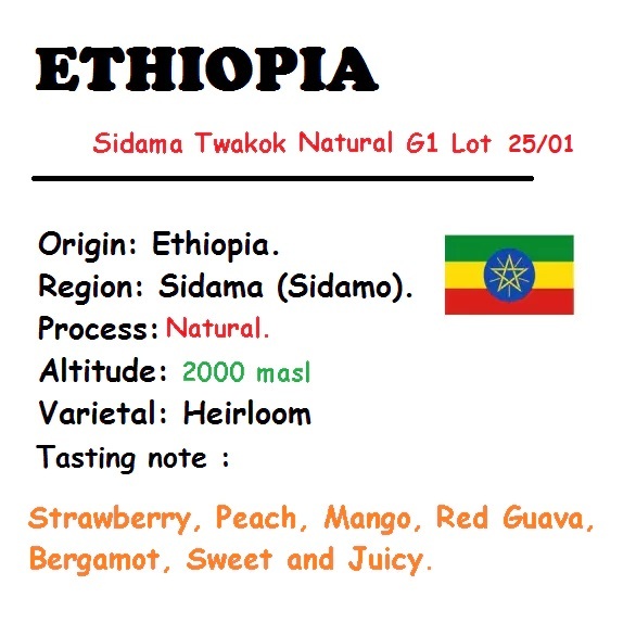 SPECIAL COFFEE - HẠT - 2 TÚI 250 GRAM (Gross Weight) - ETHIOPIA SIDAMO TWAKOK  G1 LOT 25/01.
