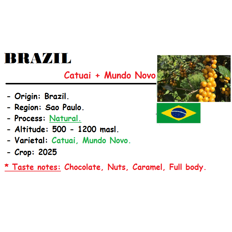 HẠT - 500g (Gross Weight - Gồm 2 TÚI 250 GRAM) CÀ PHÊ ARABICA TỪ VÙNG SANTOS BRAZIL.