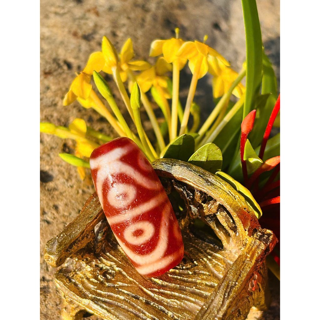 DZI 8 MẮT SÓNG huyết hải châu