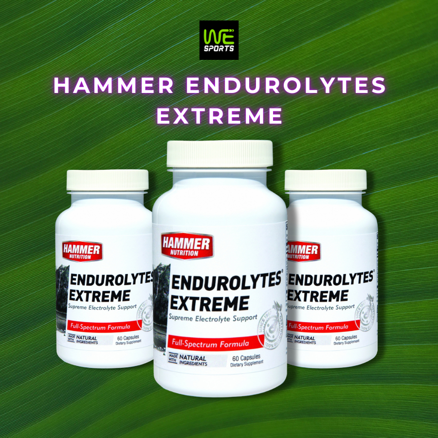 Lọ Muối điện Giải Hammer Nutrition Endurolytes Extreme 120 Viên (BẢN MỚI, CHÍNH HÃNG 100%)