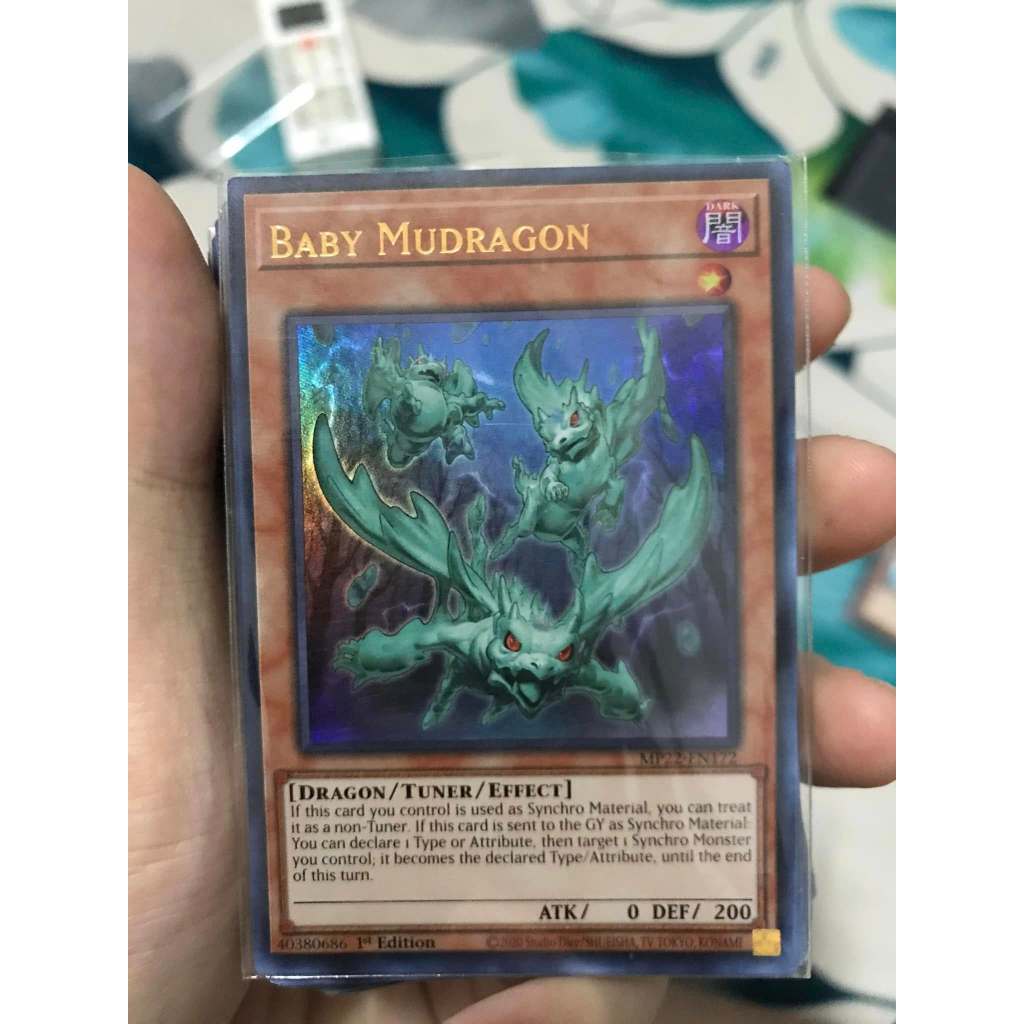 baby mudragon