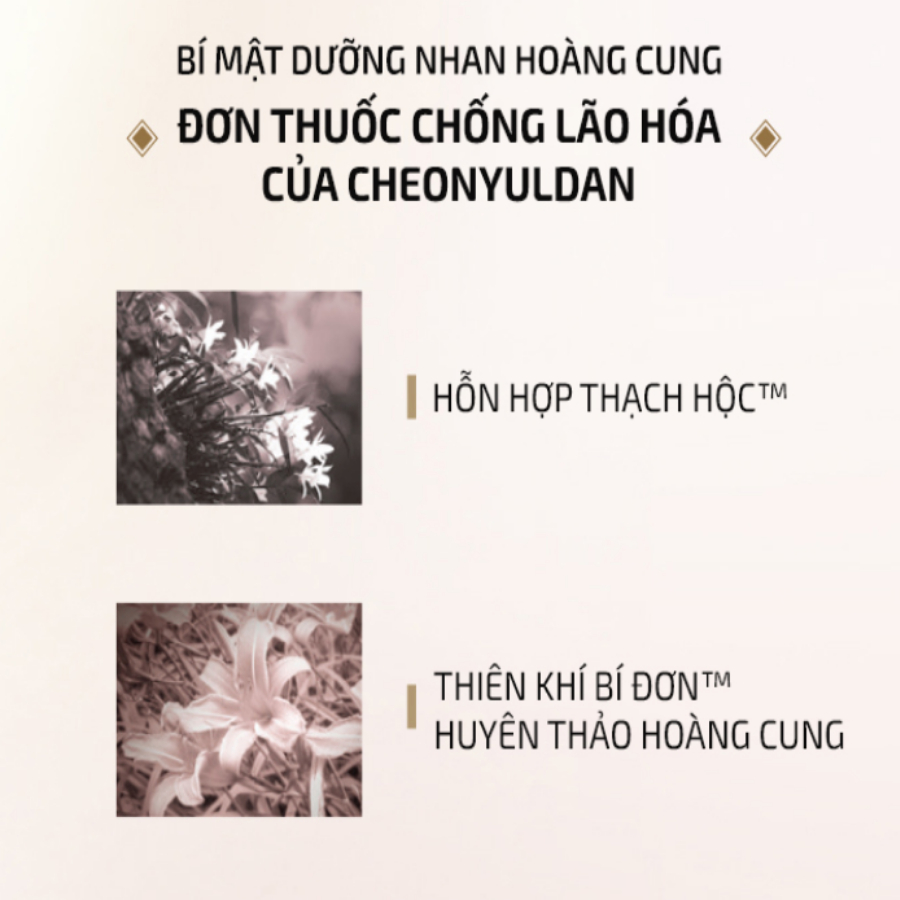 Combo 10 gói Tinh chất dưỡng vùng da mắt Whoo Cheongidan Regenerating Eye Serum - AB Authentic | BigBuy360 - bigbuy360.vn