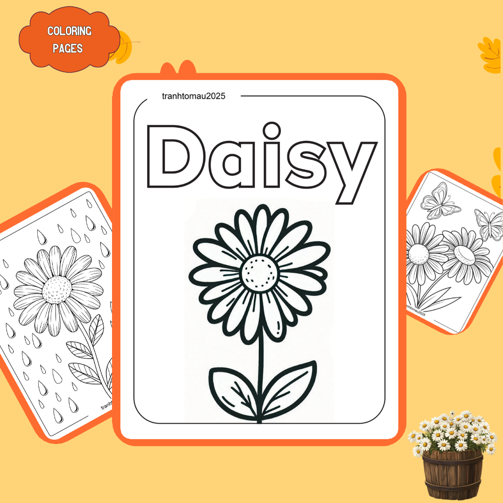 Bộ 50/25/10 tờ tranh tô màu, tranh tập tô cho bé, hình hoa cúc Daisy, giấy A4, A5 dày 160gsm DS151D