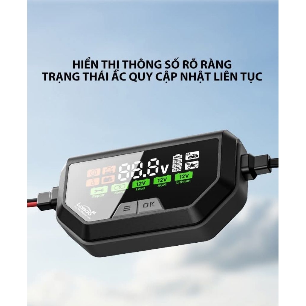 Sạc ắc quy Loboo C60.
