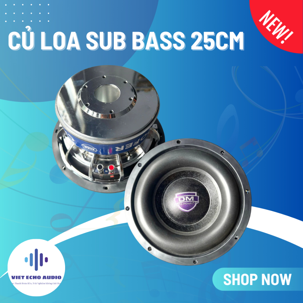 Củ Loa Sub Bass 25cm DM-10180S – Coil 75mm, Từ Đôi 180mm | Dual Coil 4Ω+4Ω, Công Suất 1100W – Sườn N