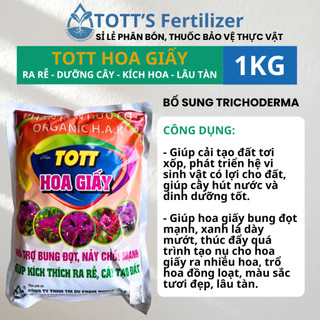 Combo 3 phân bón kích hoa cho hoa giấy(hoa giấy, tott re, 6-32)