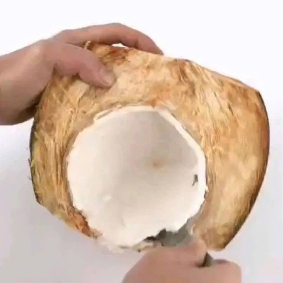 Dao múc cùi dừa, dao cạy cùi dừa một dụng cụ mạnh mẽ để dao lấy cùi dừa, được làm bằng thép không gỉ