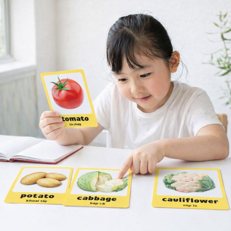 Flashcard từ vựng Tiếng Anh nhiều chủ đề cho bé khổ a5 ép plastic bền đẹp