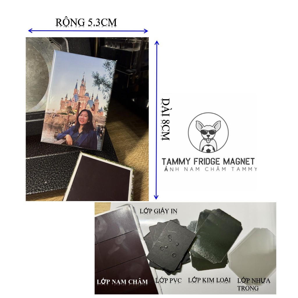 Combo 6 ảnh - ẢNH NAM CHÂM - TAMMY FRIDGE MAGNET