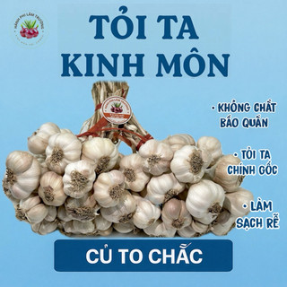 Tỏi ta Kinh Môn Hải Dương, tỏi tím nguyên bó, tỏi cắt rễ làm sạch, tỏi phơi khô