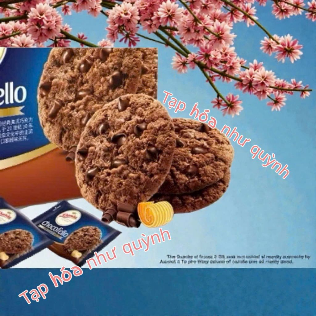 (DANISA NGON) 1 HỘP 150G BÁNH QUY BƠ DANISA SOCOLA HẠT CHOCOFELLO THƠM NGON