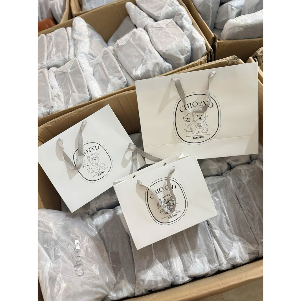 Túi Giấy Hãng Chio 3 Size To & Bé