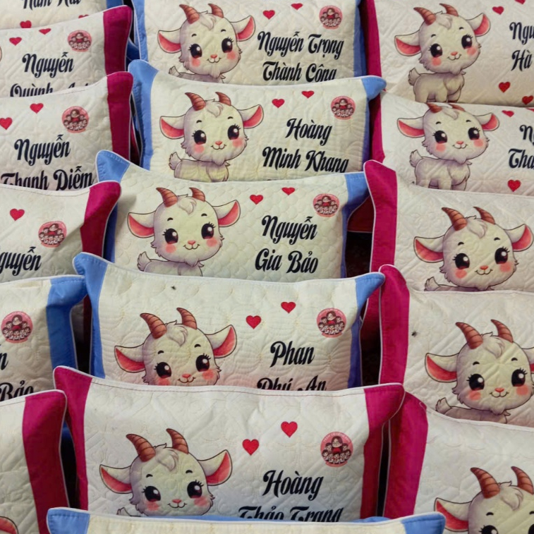 Gối In Hình Theo Yêu Cầu Cho Bé Mầm Non 30×45cm – In Tên, In Ảnh Rõ Nét – Combo Vỏ & Ruột Gối Nằm Tiện Lợi