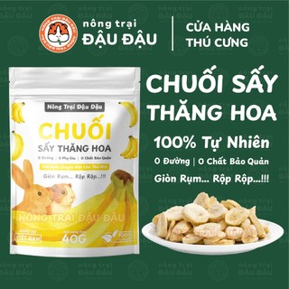 Chuối Sấy Thăng Hoa Cho Thỏ, Bọ Ú, Hamster, Chinchilla Ăn Vặt Thơm Ngon 40g