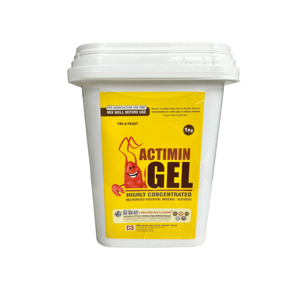 Actimin Gel - Siêu khoáng dạng Gel cho tôm ( Xô 1kg)