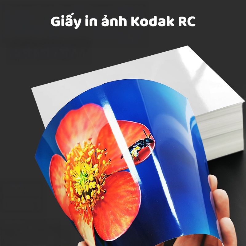 Giấy in ảnh Kodak RC Bóng, Lụa khổ A4, A5, A6 13x18cm PSP0085