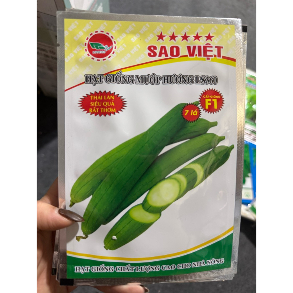 Hạt Giống Mướp Hương LS360 chính hãng mướp dài ngon