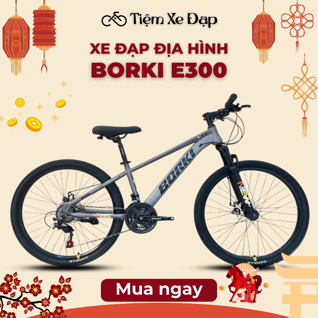Xe Đạp Địa Hình BORKI E300 Xe Đạp Cho Các Bạn Học Sinh + Phụ Kiện Tặng Kèm Đèn Trước Sau