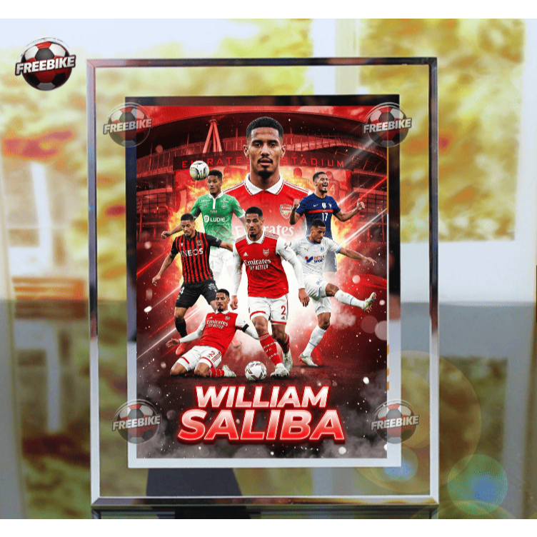 KHUNG POSTER WILLIAM SALIBA BẰNG KÍNH PHA LÊ CAO CẤP MẪU 2