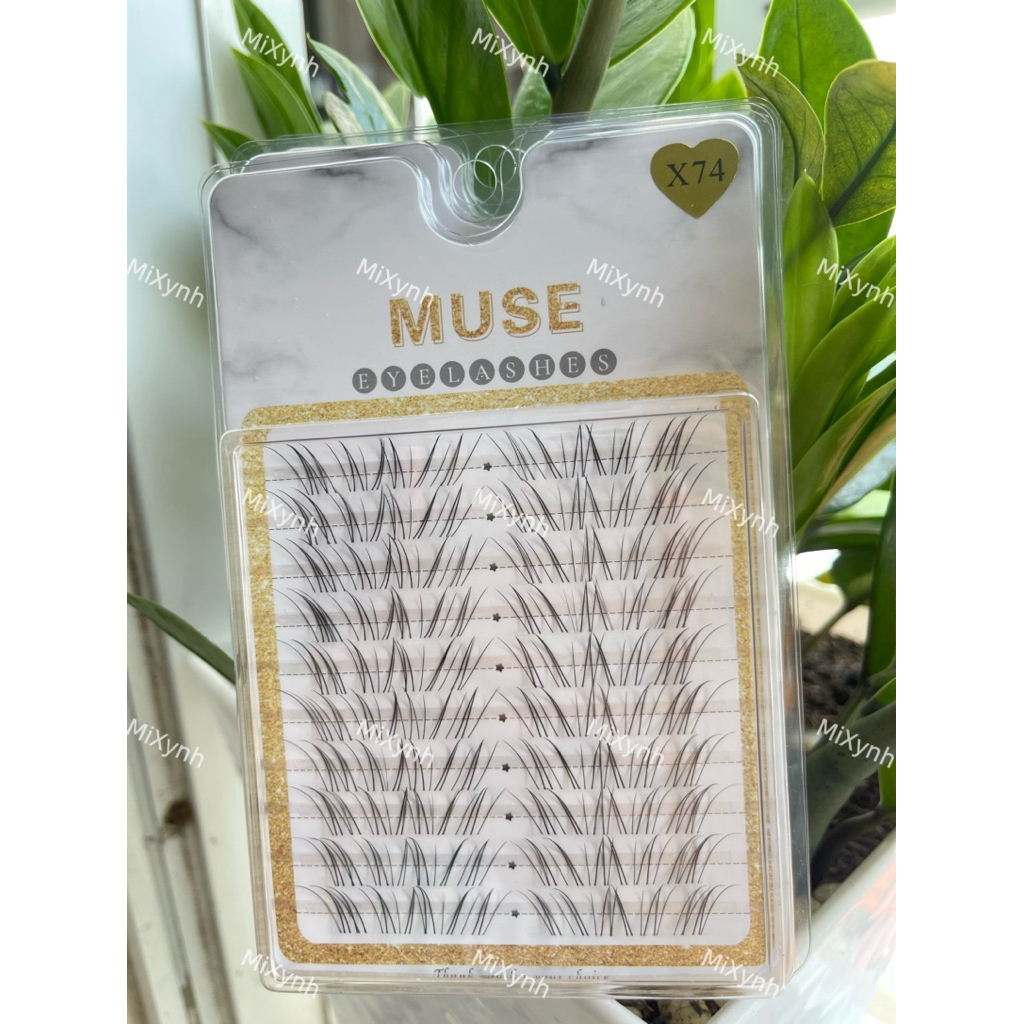Mi Muse X74, Mi Cụm - Lông Mi Giả Các MAKE UP Lựa Chọn