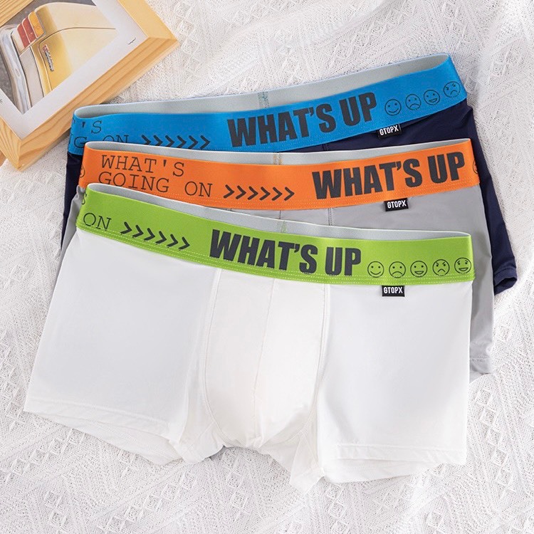 Quần Lót Nam Boxer Đùi GTOPX MAN Thun Lạnh