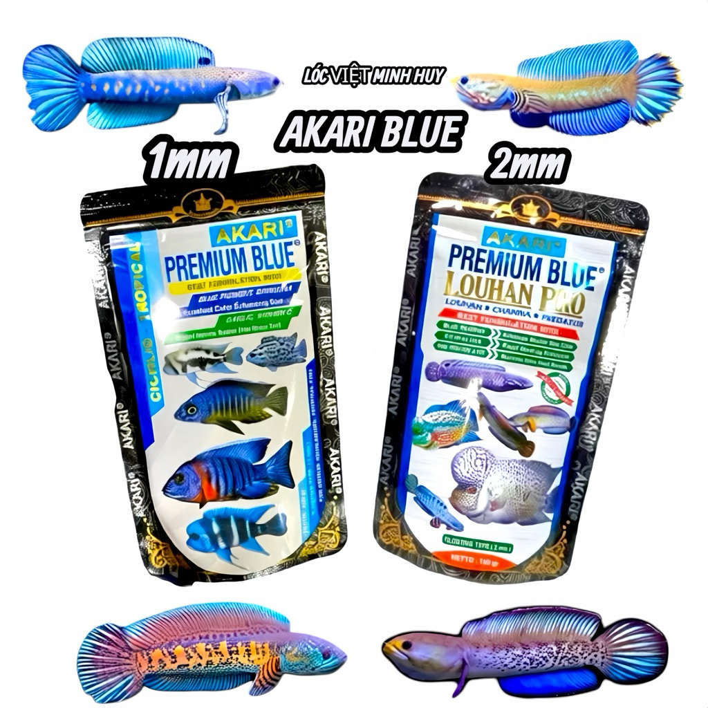 CÁM AKARI BLUE NHẬP KHẨU INDONESIA -Hỗ Trợ Sắc Tố màu Cho cá Lóc Lạnh-hoàng đế - nữ hoàng - andrao -