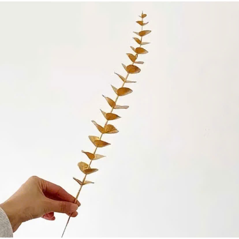 Nhánh rẻ quạt, táo đồng decor  set quà tết, trang trí khay thuyền, tháp lễ banhs trang trọng