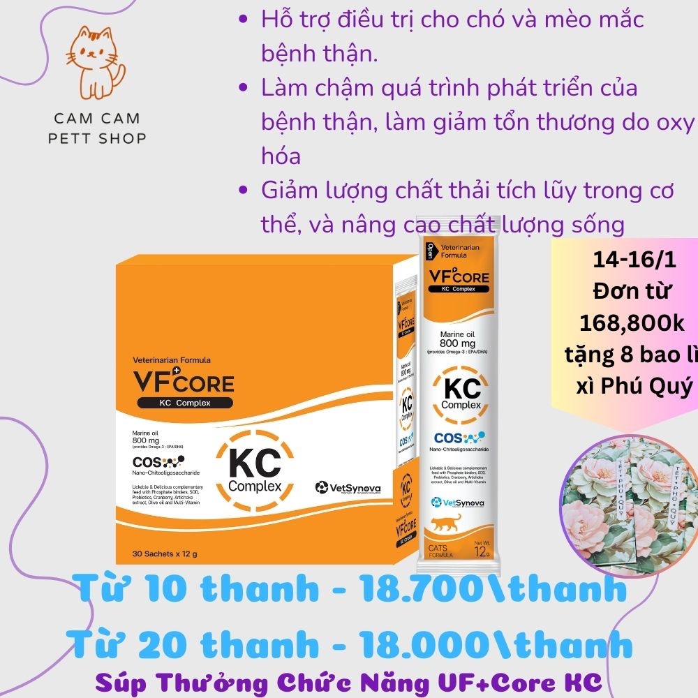 Súp Thưởng VF + Core KC - Công thức hỗ trợ chức năng thận
