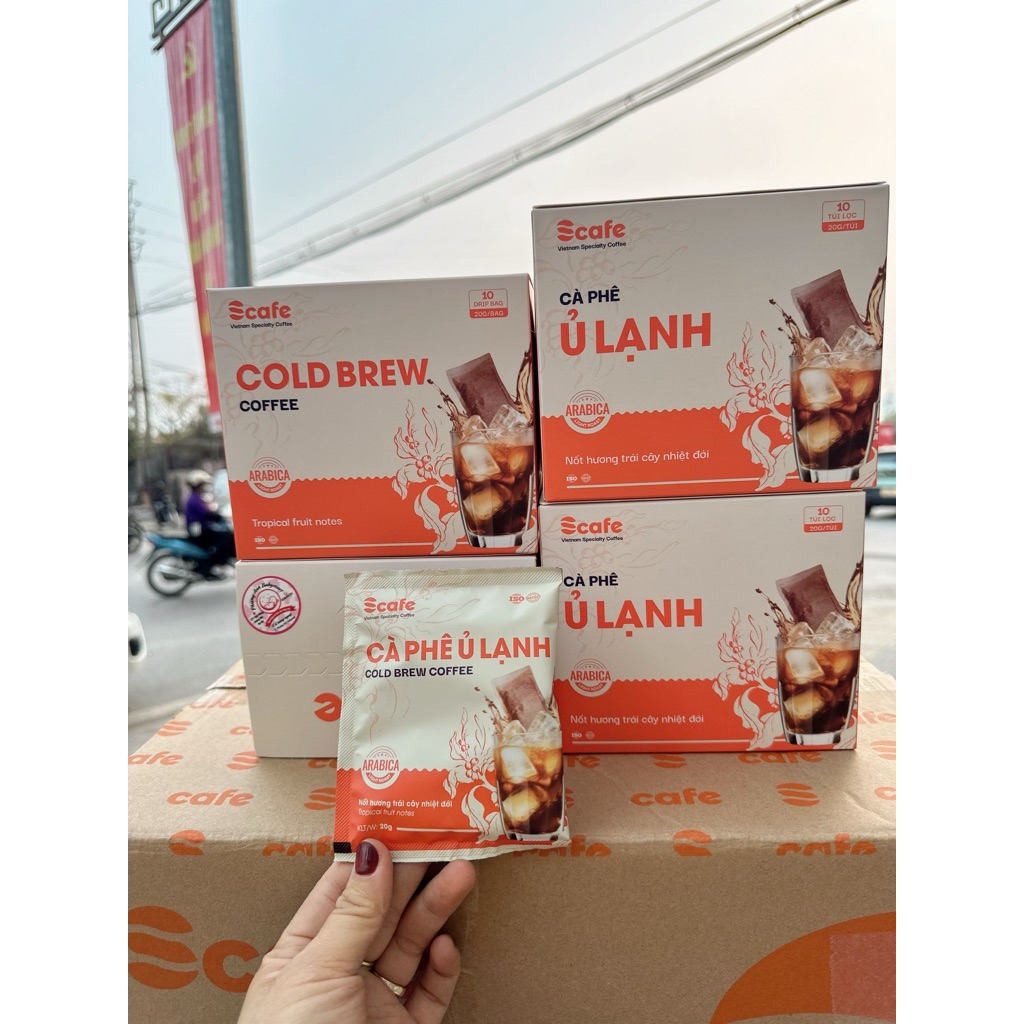 Cà Phê Cold Brew Túi Lọc Hạt Arabica 100% Scafe Việt Nam