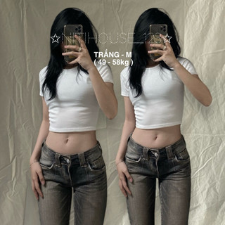 [ACT] Áo Croptop thun trơn cotton basic ôm body tay ngắn basic