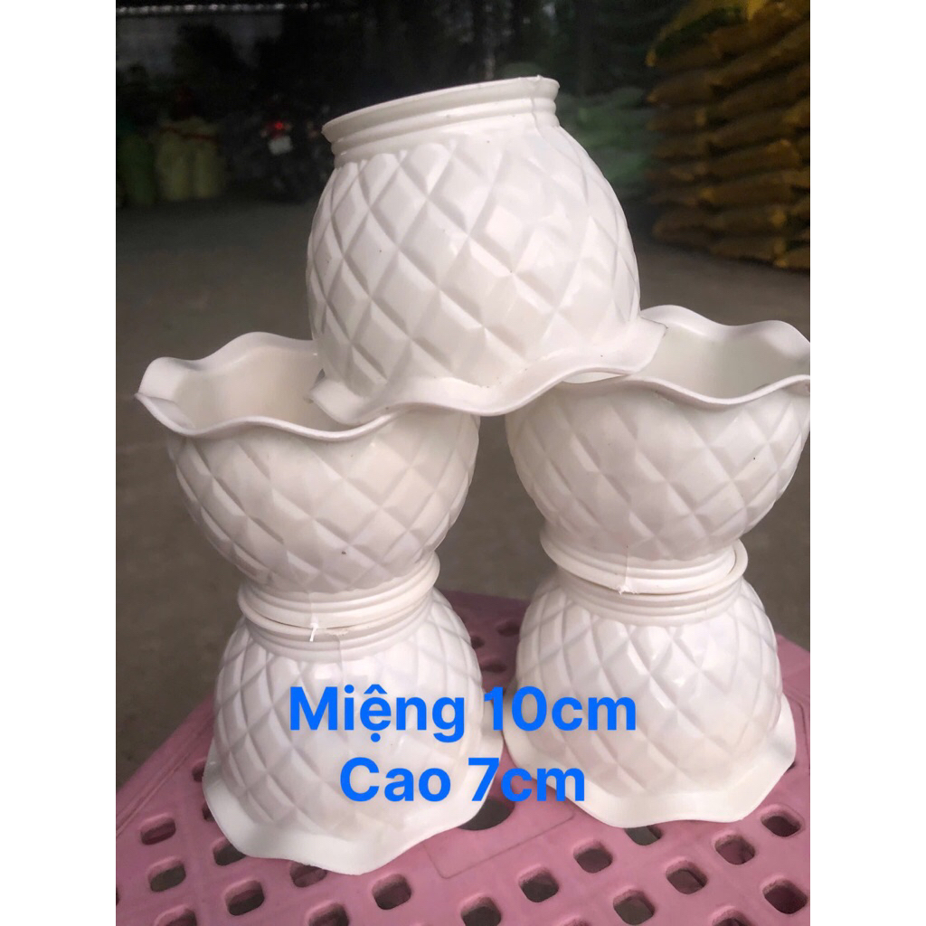 Chậu nhựa dứa trắng ( Combo 10 cái 46k)