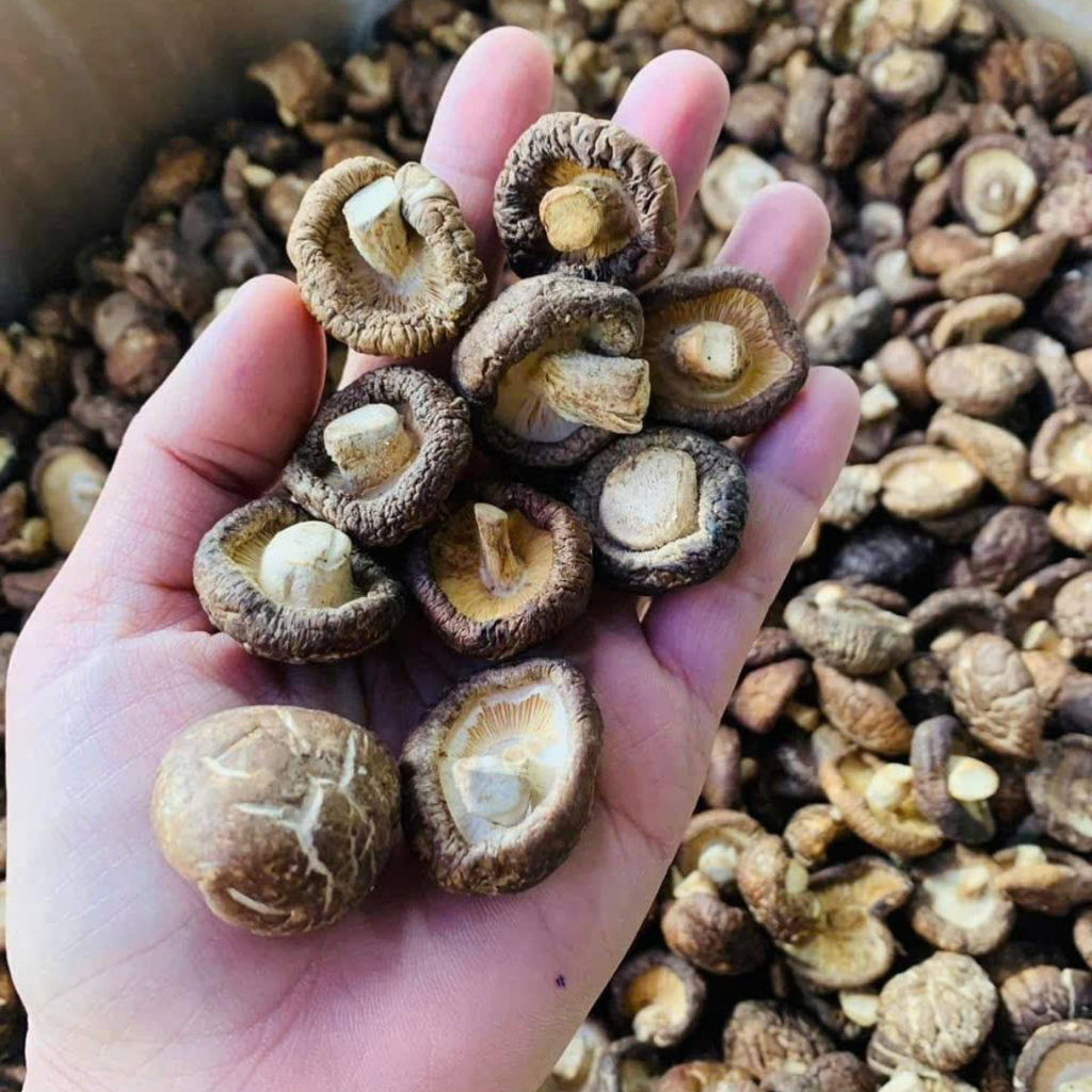 Nấm đông cô khô loại 1 (500g, 1kg) sấy khô từ nấm đông cô tươi Tây Bắc. Đặc sản nấm đông cô, nấm hươ