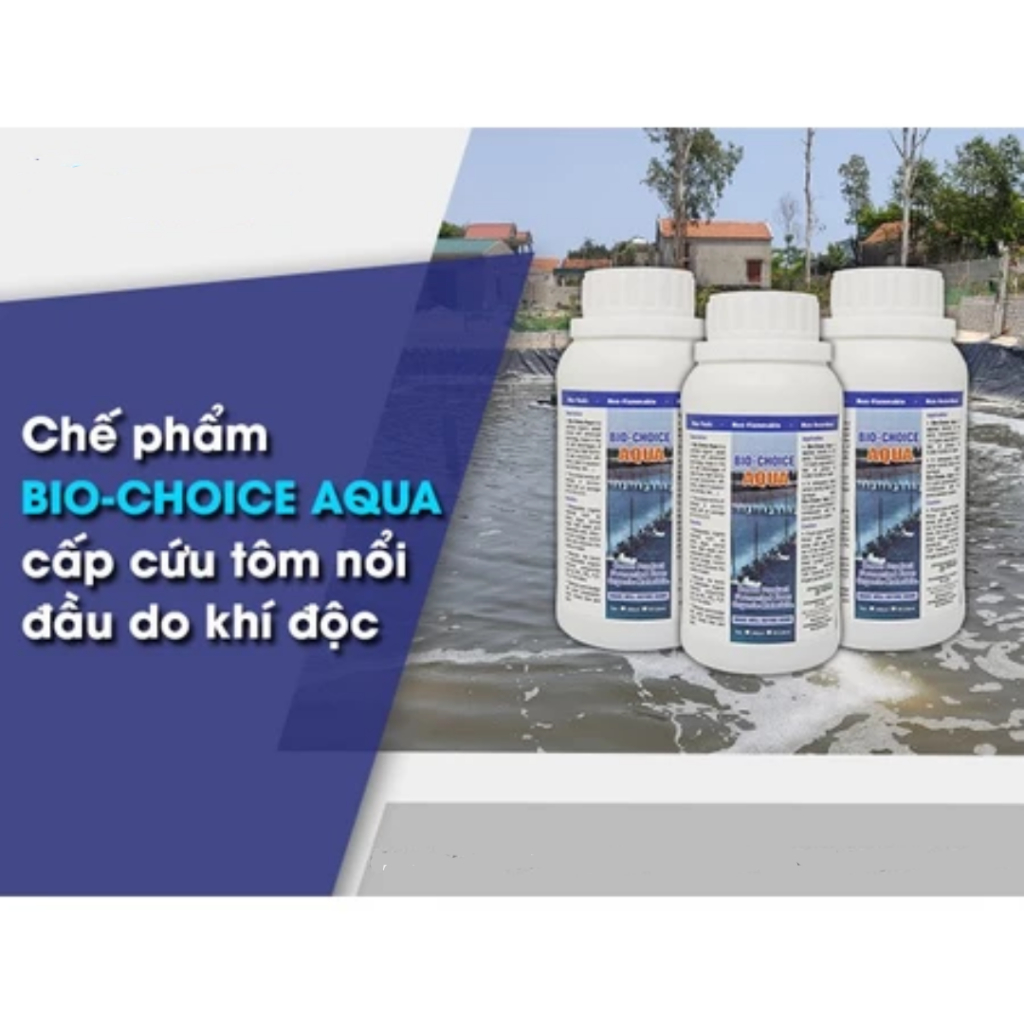 BIO-CHOICE B5 (ENZYME ĐẬM ĐẶC)