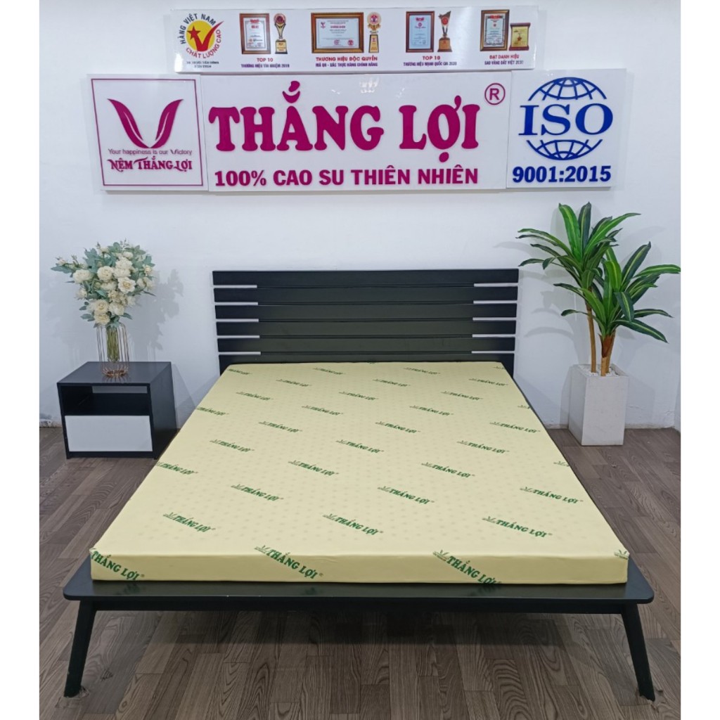 Nệm cao su non Thắng Lợi (Ko quà)