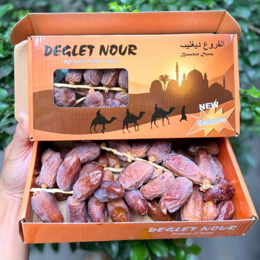 Chà là DEGLET NOUR 3 con lạc đà chuẩn Isreal