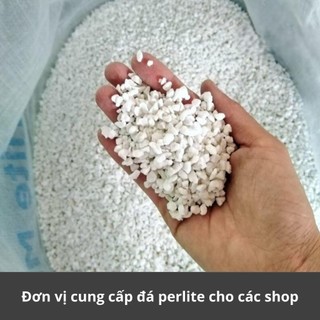 500g đá perlite , đá trân châu trồng cây