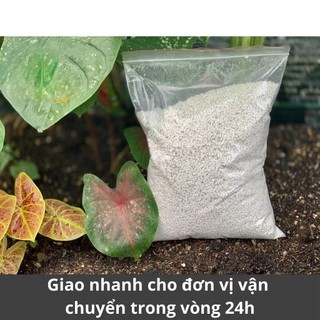 500g đá perlite , đá trân châu trồng cây