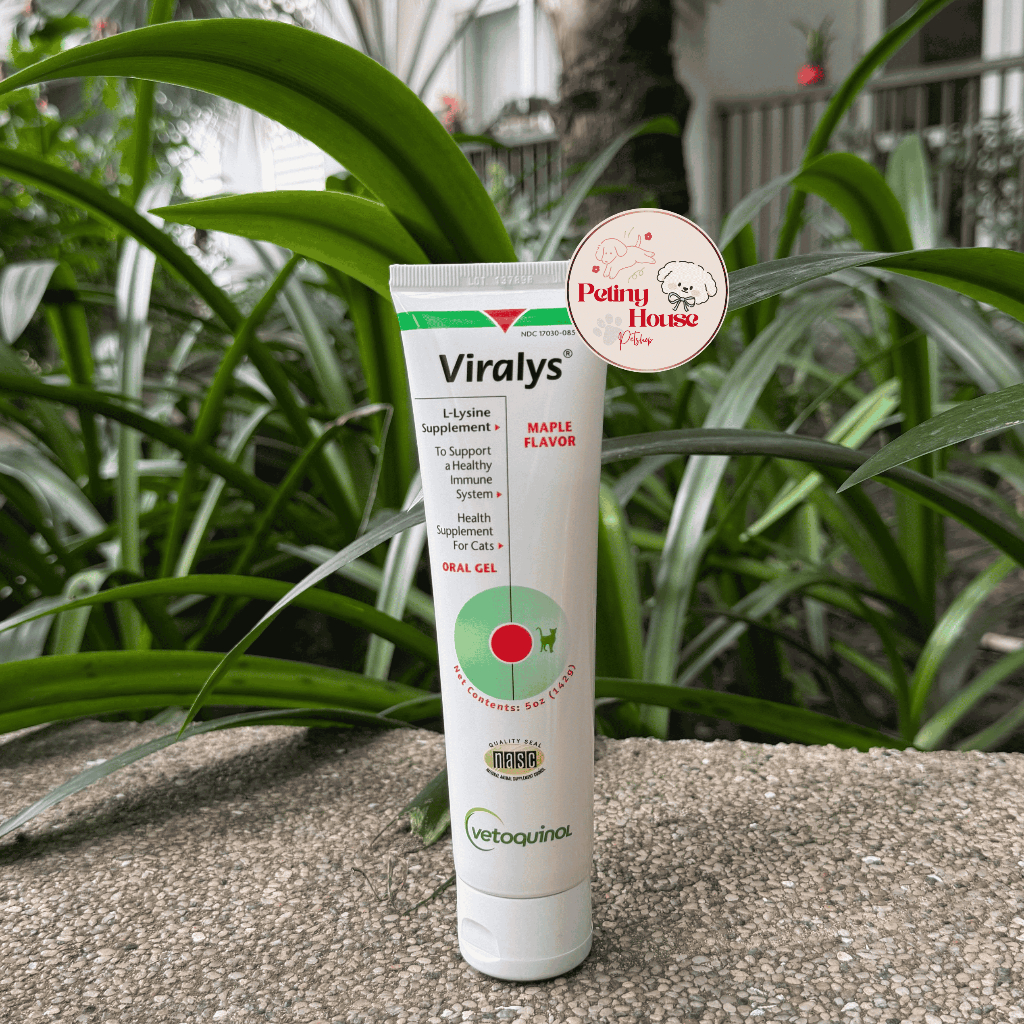Gel bổ sung dinh dưỡng cho Mèo (Đặc biệt Mèo con) Viralys Oral Gel vị Maple