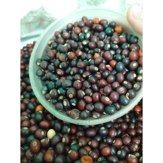 Hạt đậu rồng